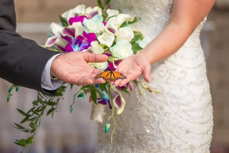 Bouquet + Butterfly Release