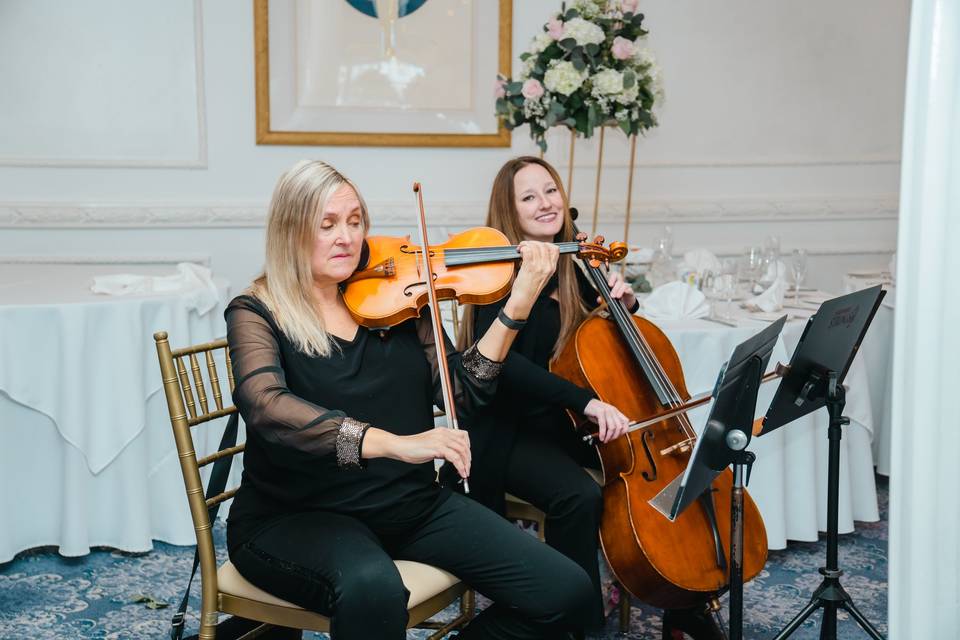 String musicians