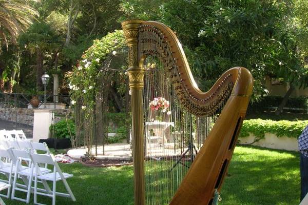 Stephanie Bennett's golden harp at a wedding