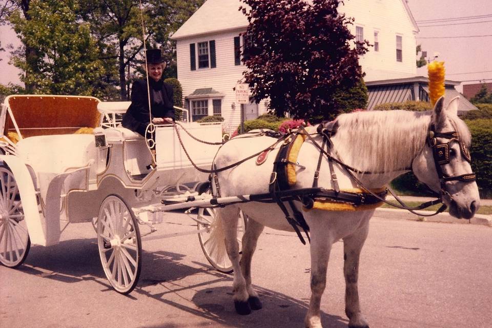 Ny Party Rides-Long Island Wedding Limo Service
