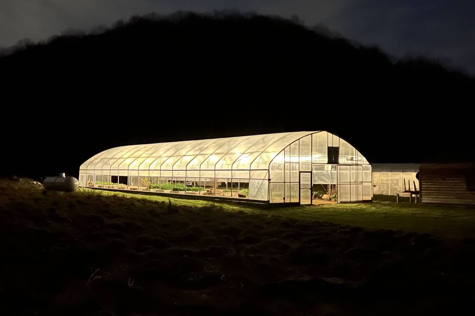 Solarium at night