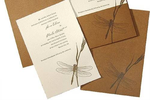 A beautiful letterpress invitation suite available through Exquisite Events