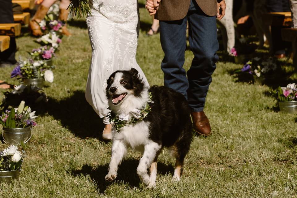 Colorado Wedding