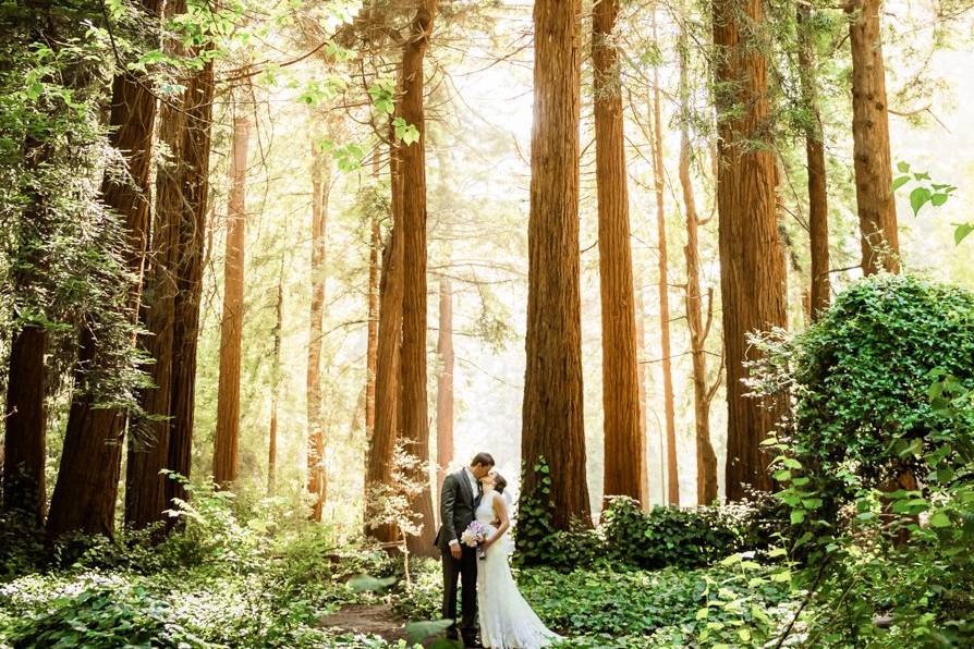 Redwoods Marin wedding