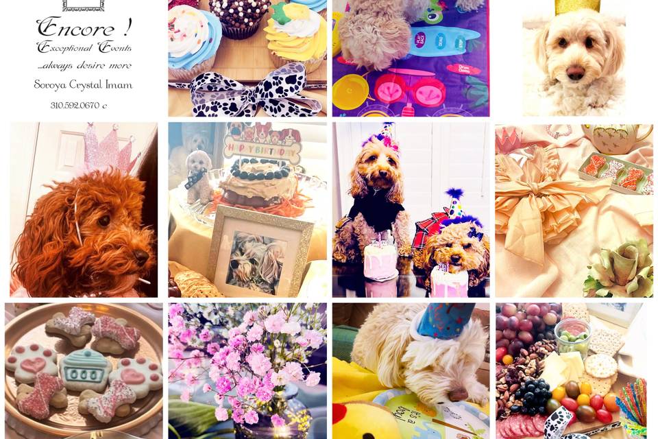 FUR-Baby Celebrations