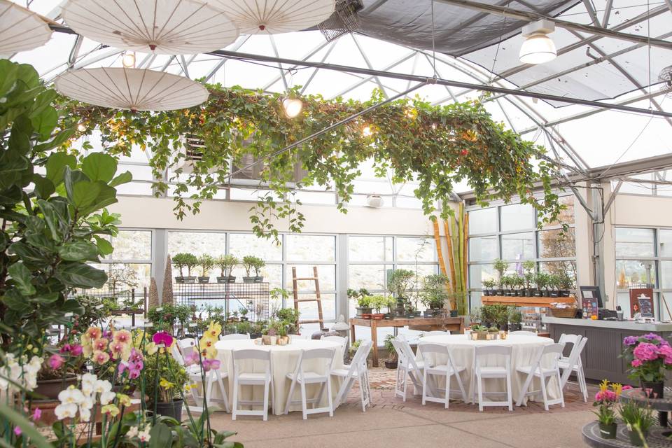 Draper Greenhouse Reception