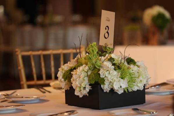 Tansy Floral Design