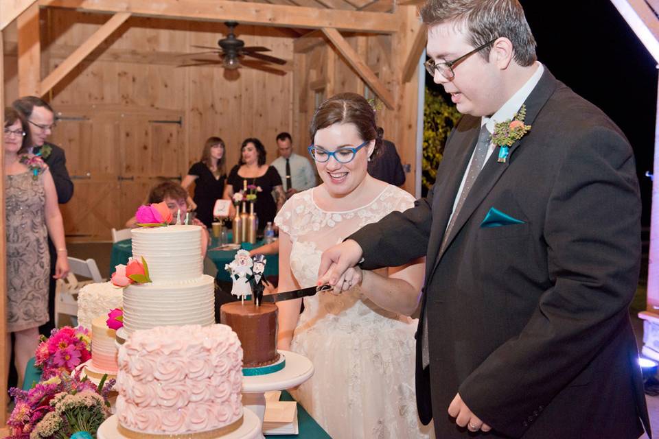 Cutting the cake