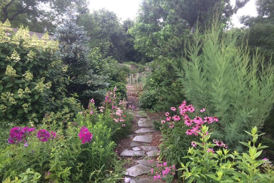 One of our garden paths