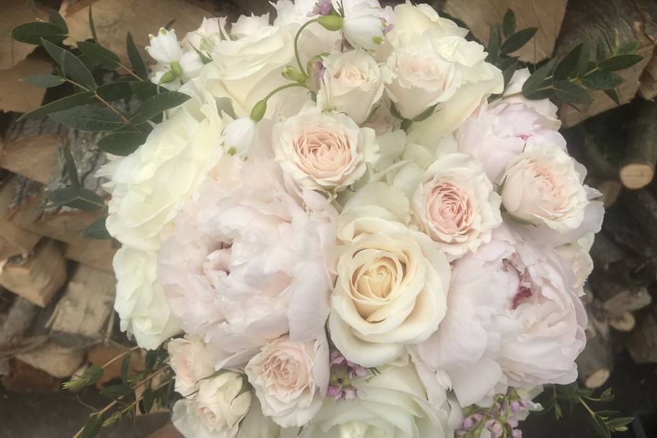 Blush Peonies from the farm