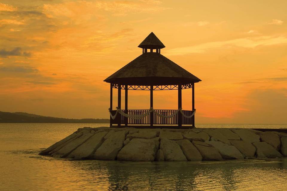 Secrets Wild Orchid