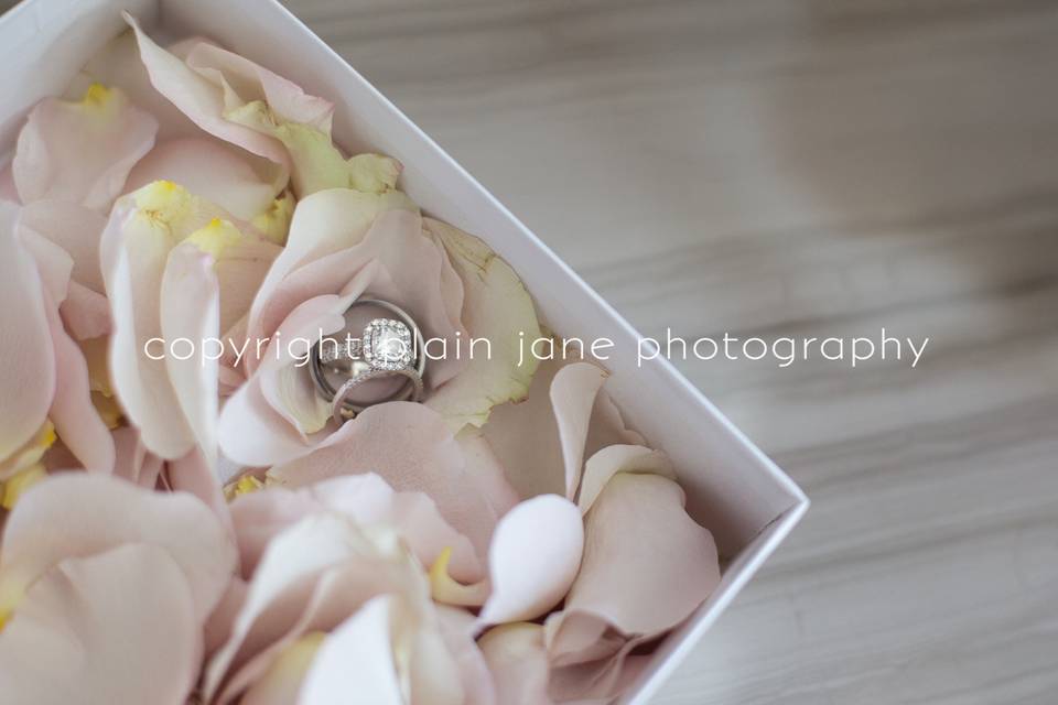 Plain Jane Photography
