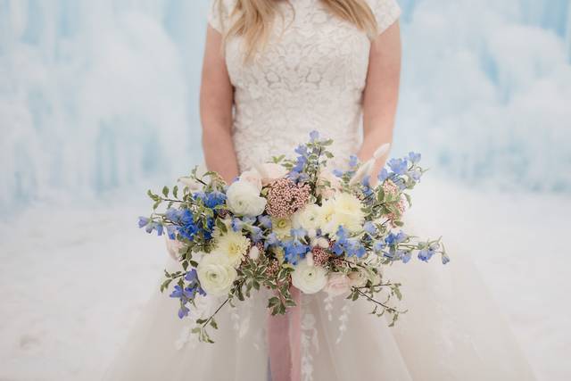 Sara Lleverino Photography