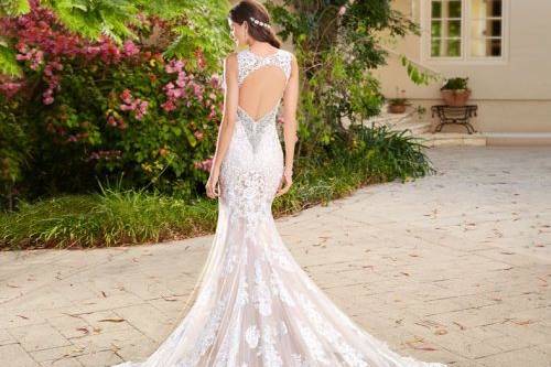 Eva's Bridals International