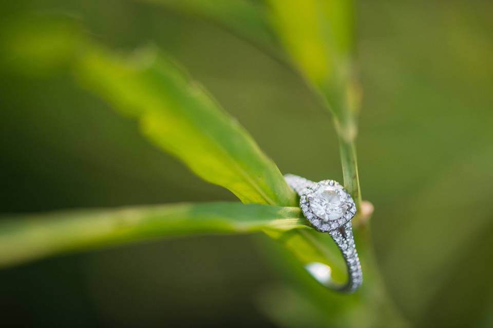 Caroline Martin Wedding Photography