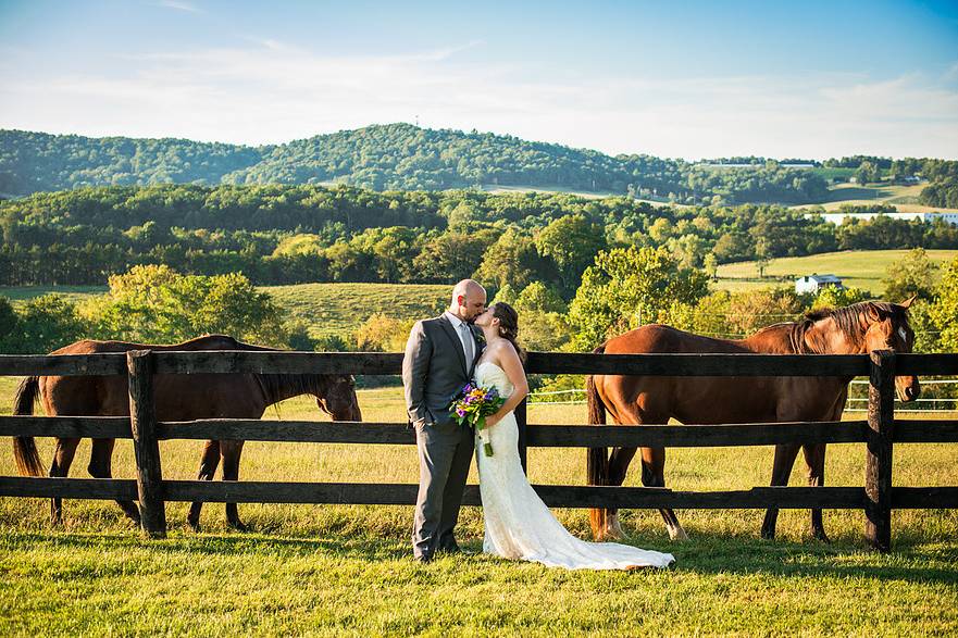 Caroline Martin Wedding Photography