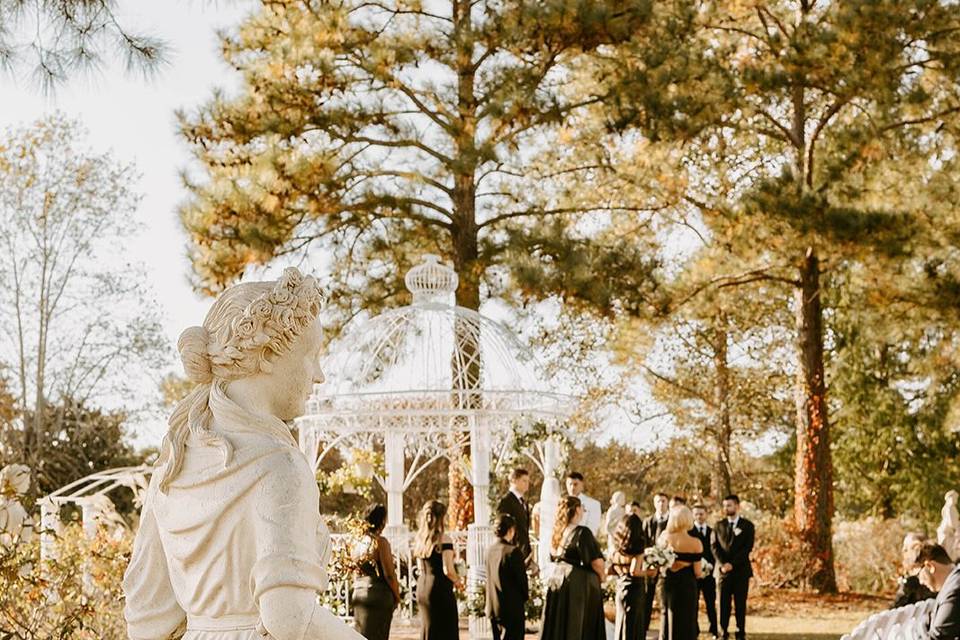 New Wedding Pics