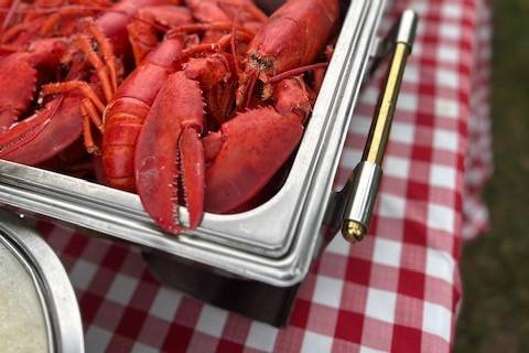 Plated Lobster