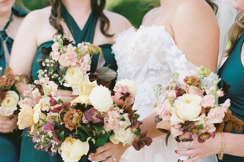Jessica Lapp Photography
