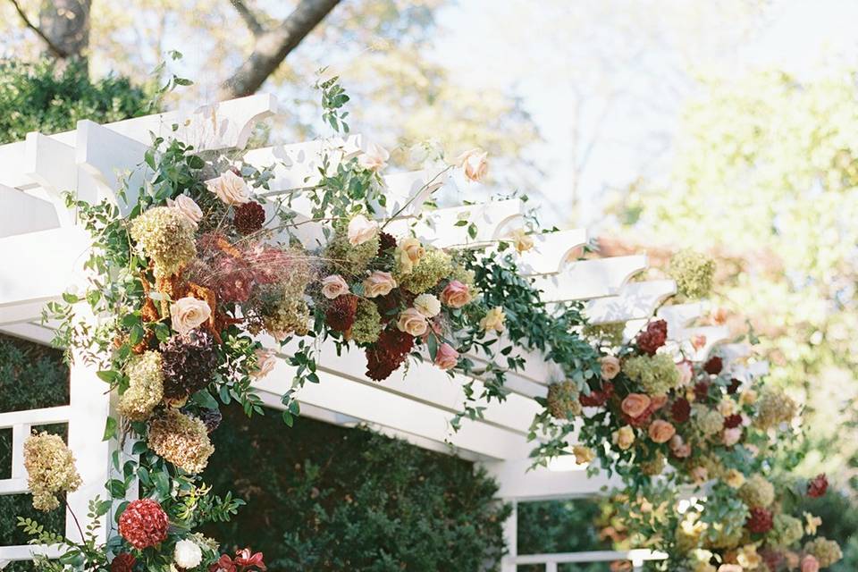 Jessica Lapp Photography