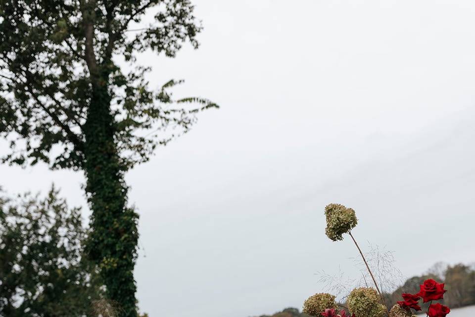 Ashley Edmunds Photography