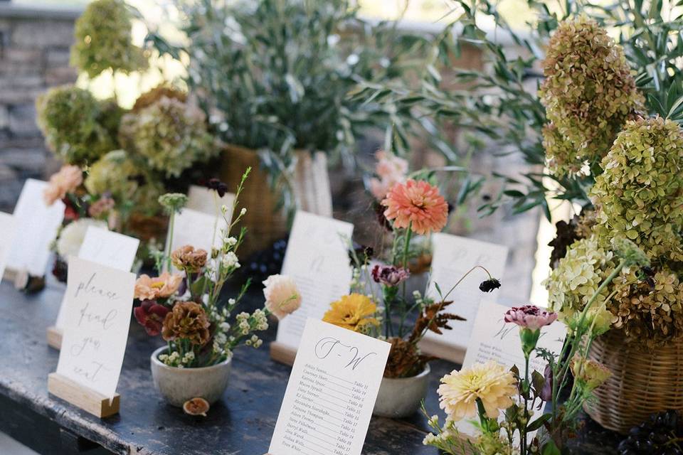 Jessica Lapp Photography