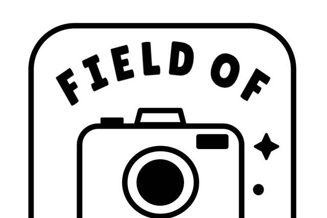 FIELD OF MAGNETS