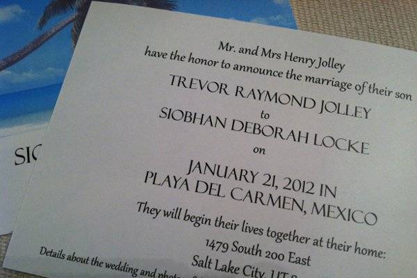 Back View of Palm Tree Announcement