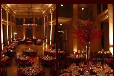 With our Up-Lighting packages, we can turn you basic room and turn it into a Classy Wedding.