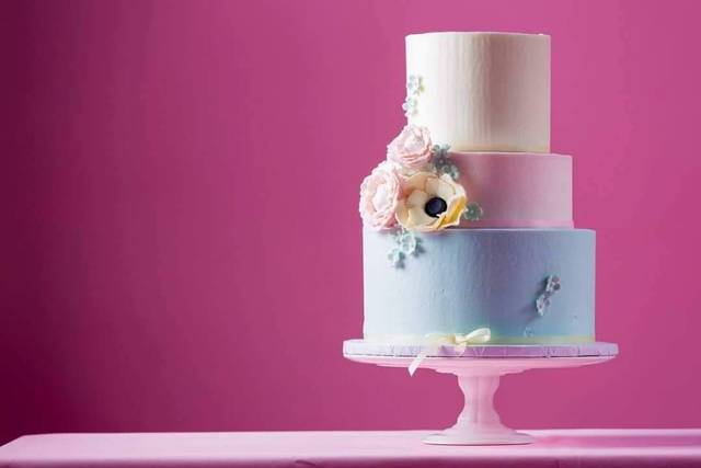 Creative Cake Design by Tammy Hodge