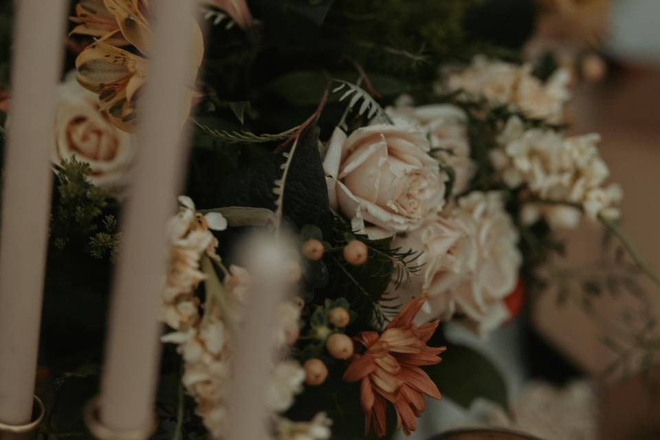 Acadia Elopement Photography