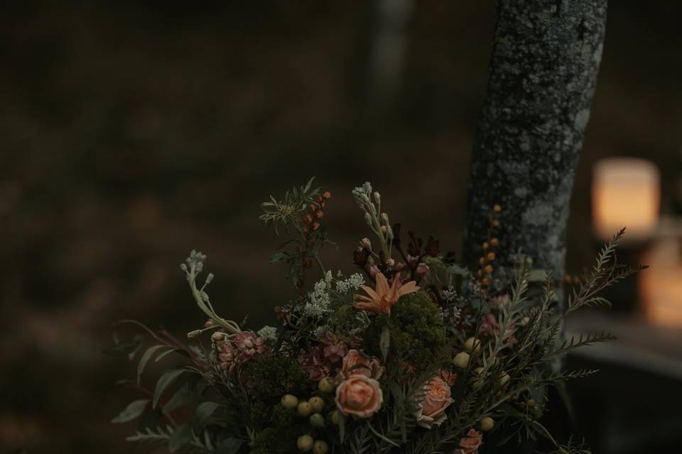 Acadia Elopement Photography