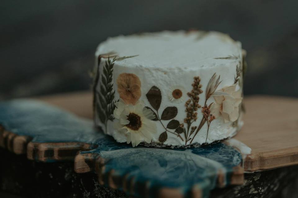 Acadia Elopement Photography