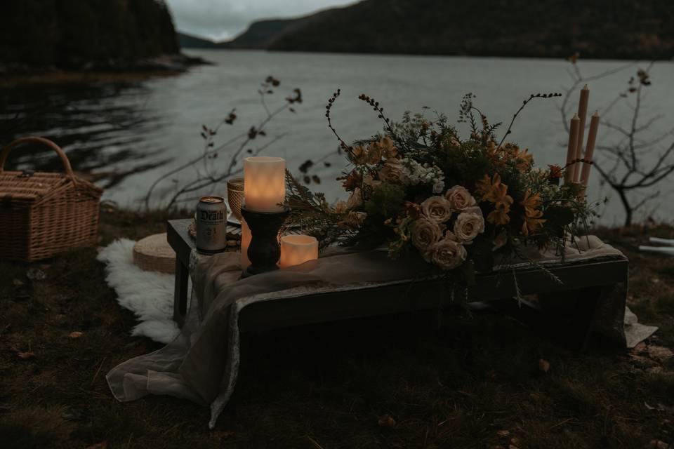 Acadia Elopement Photography