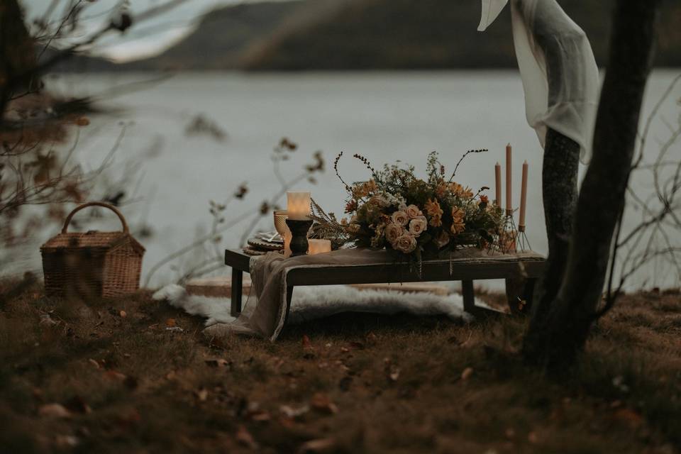 Acadia Elopement Photography