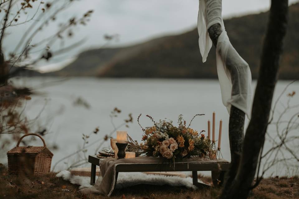 Acadia Elopement Photography