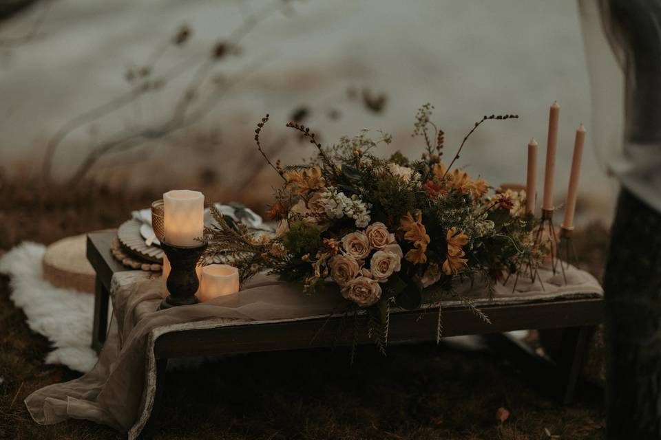 Acadia Elopement Photography