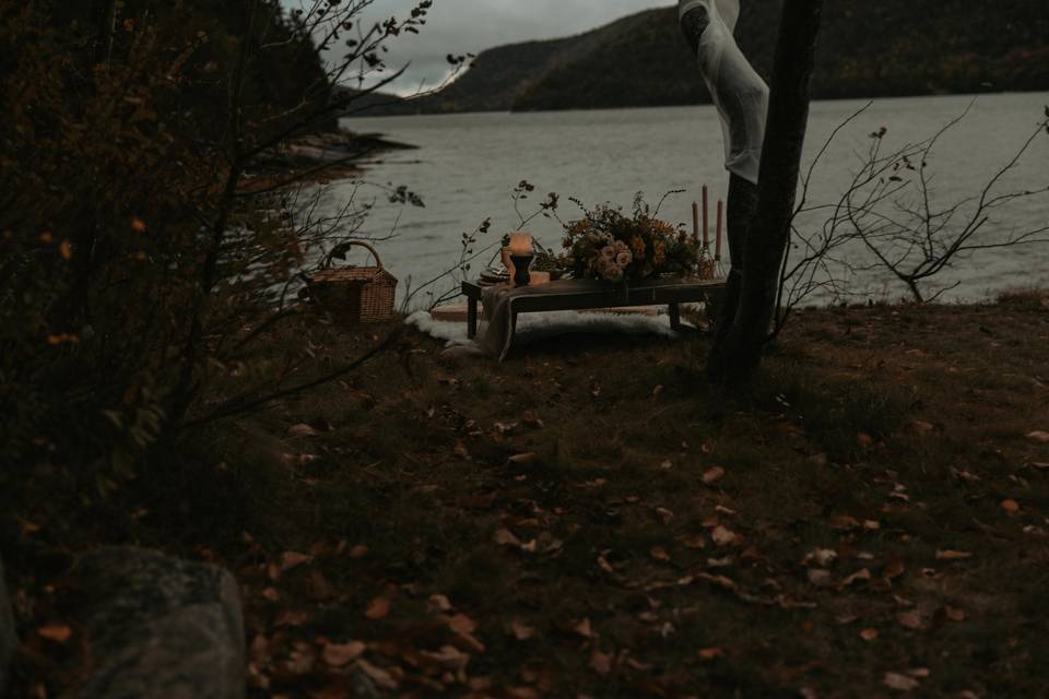 Acadia Elopement Photography
