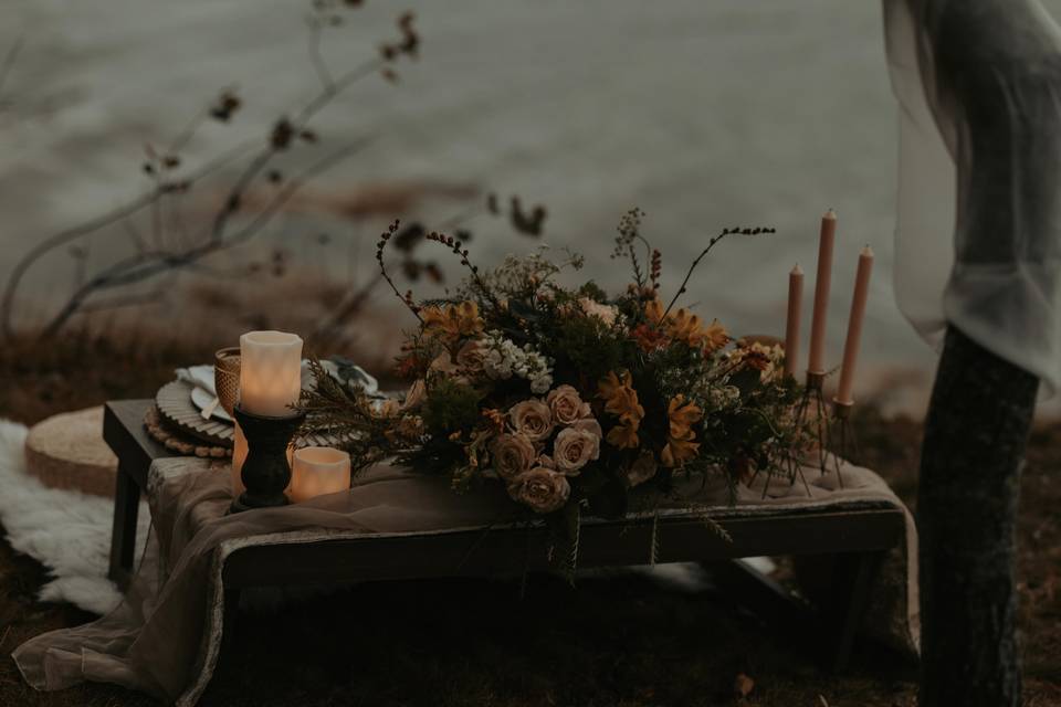 Acadia Elopement Photography