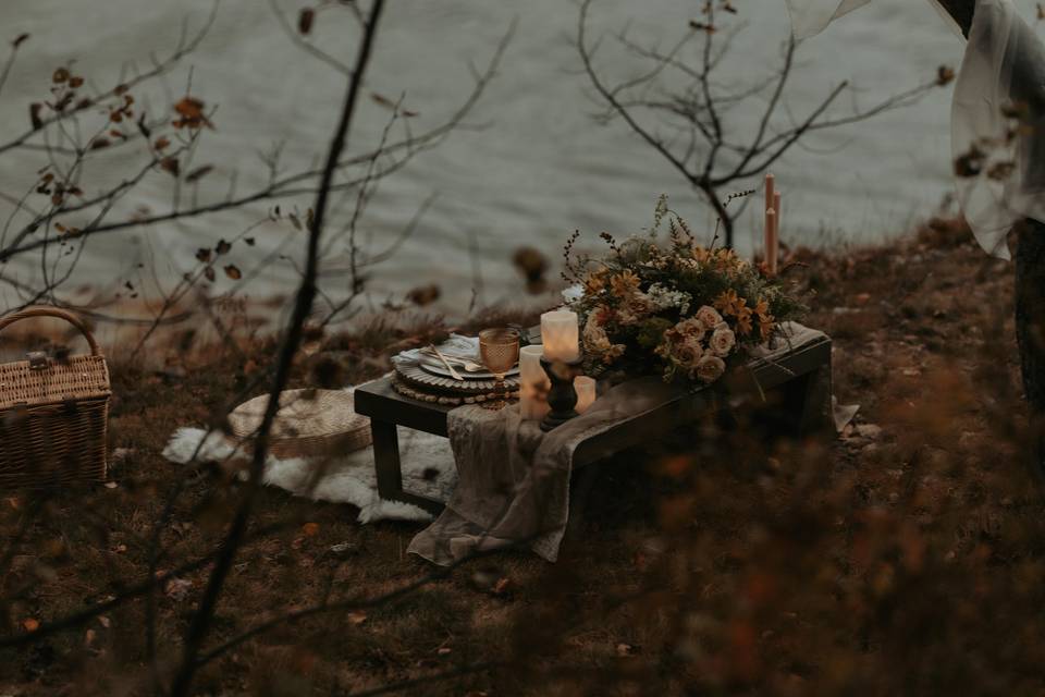 Acadia Elopement Photography