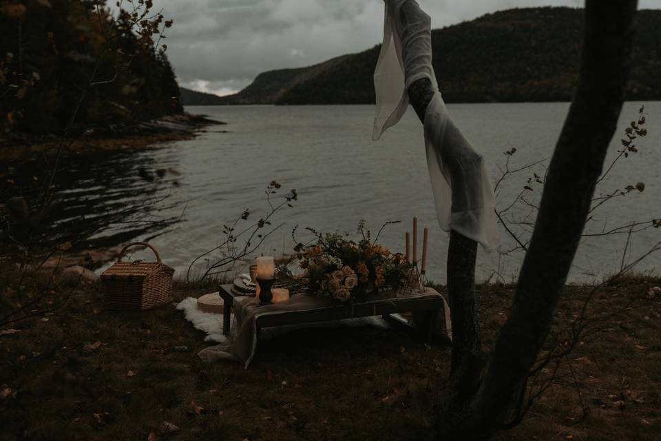 Acadia Elopement Photography