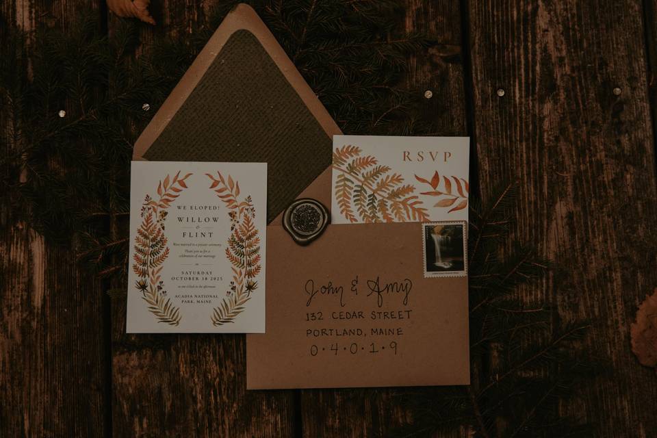 Acadia Elopement Photography