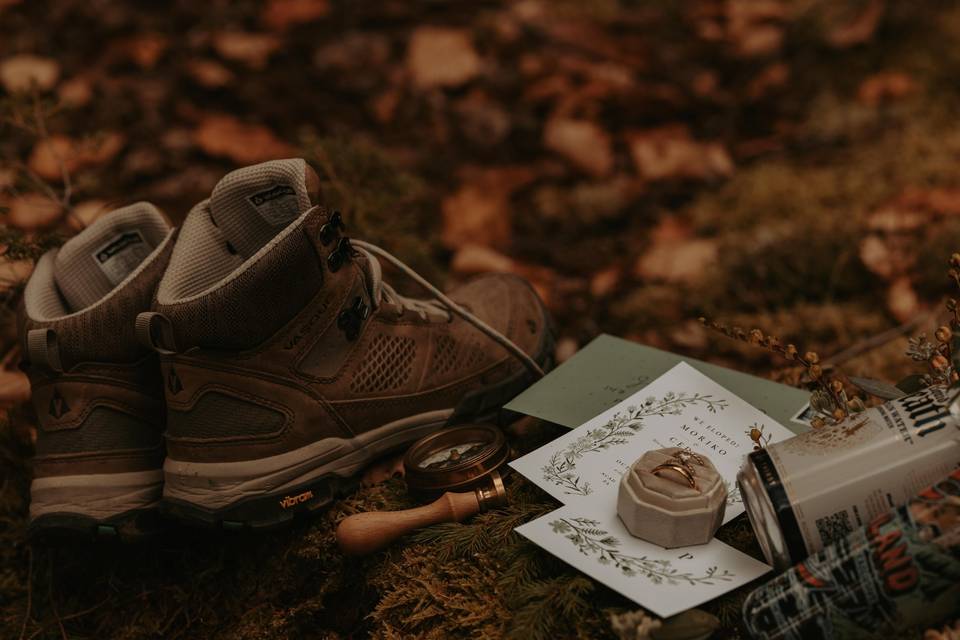 Acadia Elopement Photography