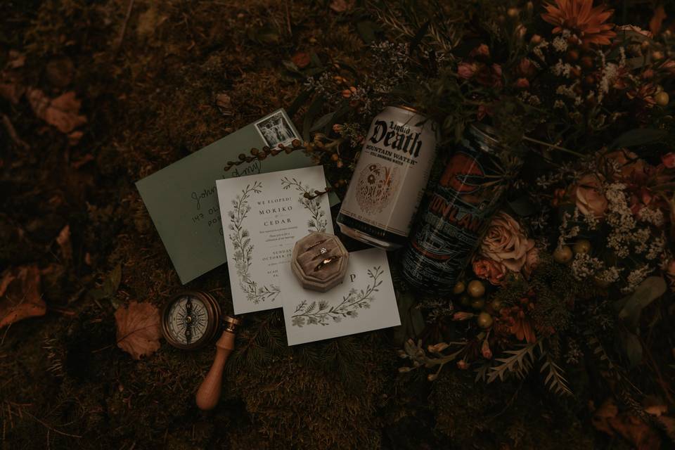 Acadia Elopement Photography