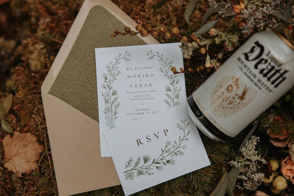 Acadia Elopement Photography