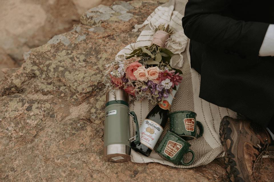 Acadia Elopement Photography