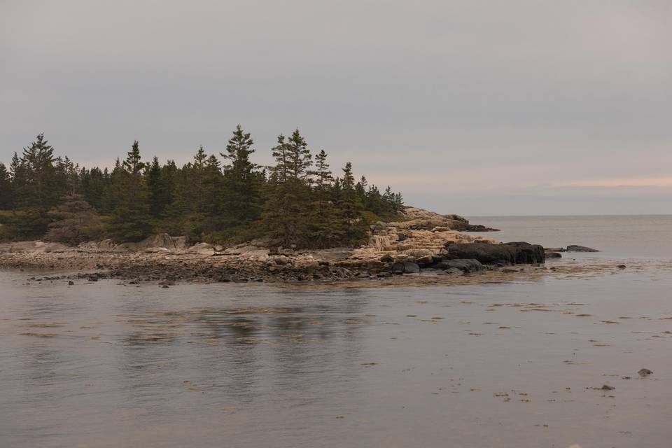 Acadia Elopement Photography