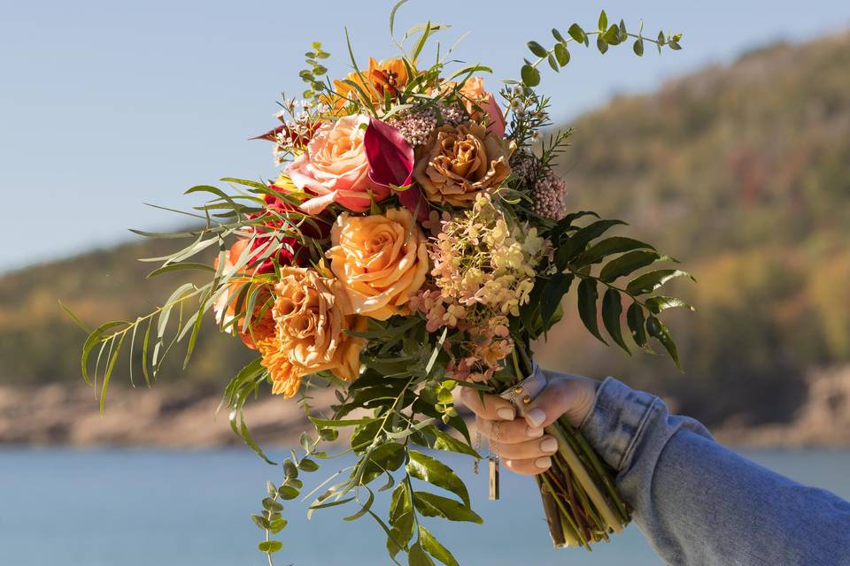 Acadia Elopement Photography
