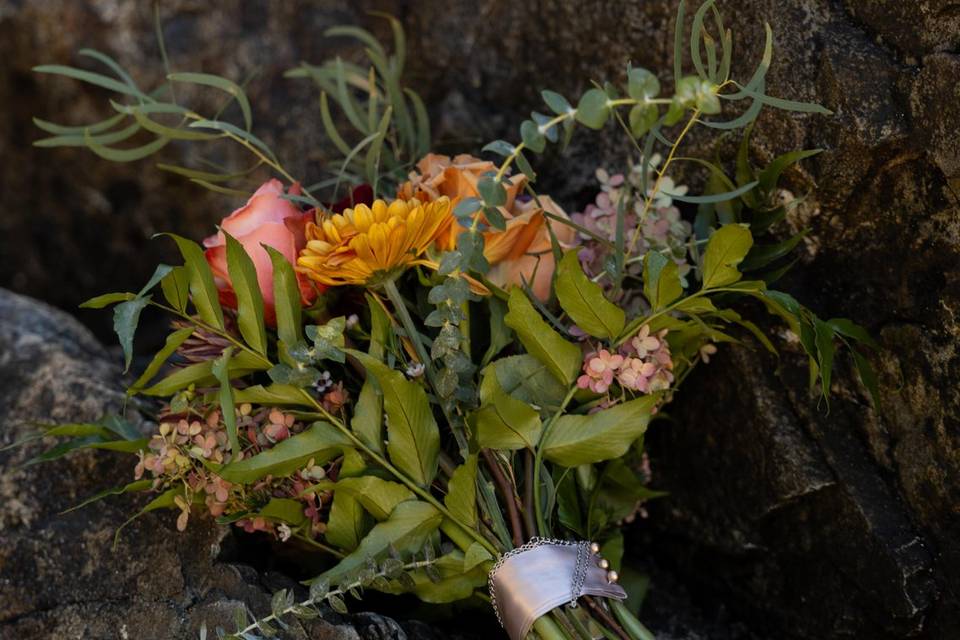 Acadia Elopement Photography