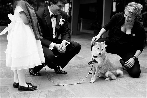 Duba Wedding.   Dog Maki carried the rings..a fun alternative to a ring bearer.